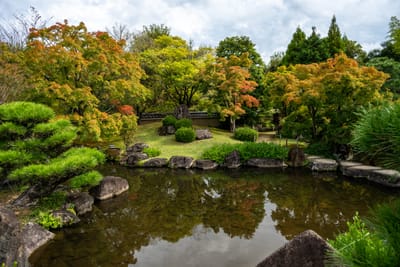 長屋門庭園的初秋靜謐水景