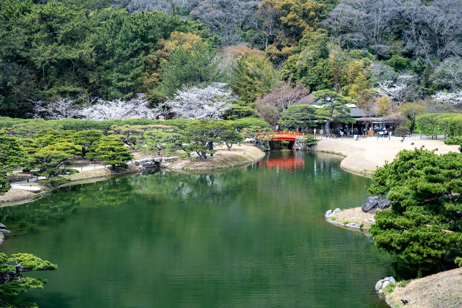 綠意庭園與朱紅小橋的春日倒影｜2025/04 西日本賞櫻