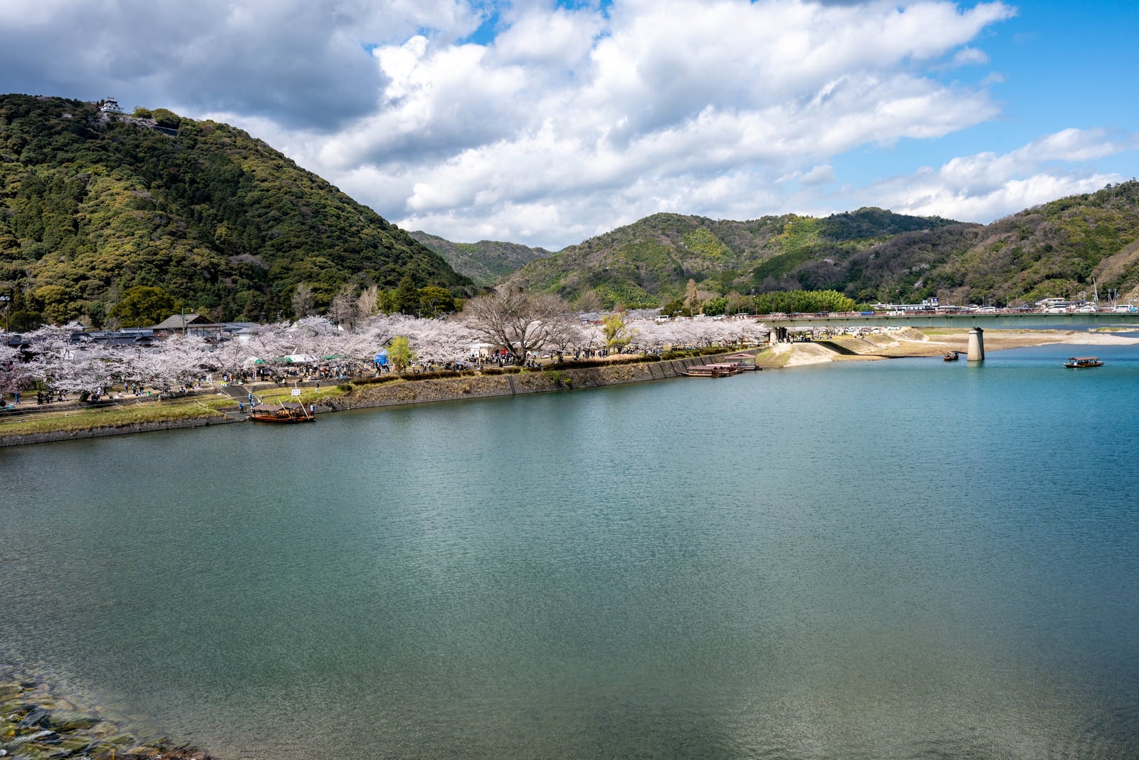 錦川畔春櫻盛開與遠方山城｜2025/04 西日本賞櫻