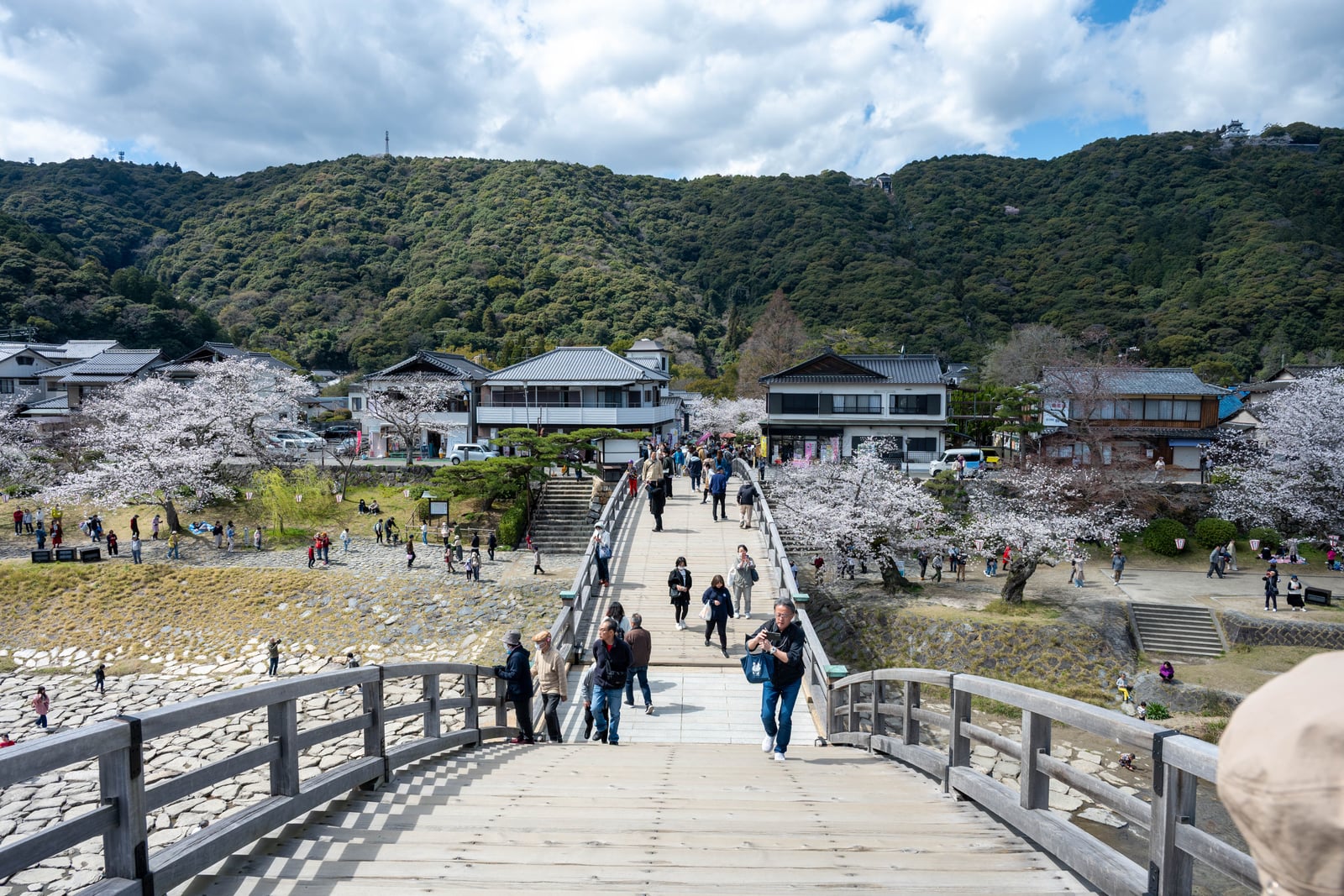 漫步錦帶橋木造拱橋賞櫻｜2025/04 西日本賞櫻