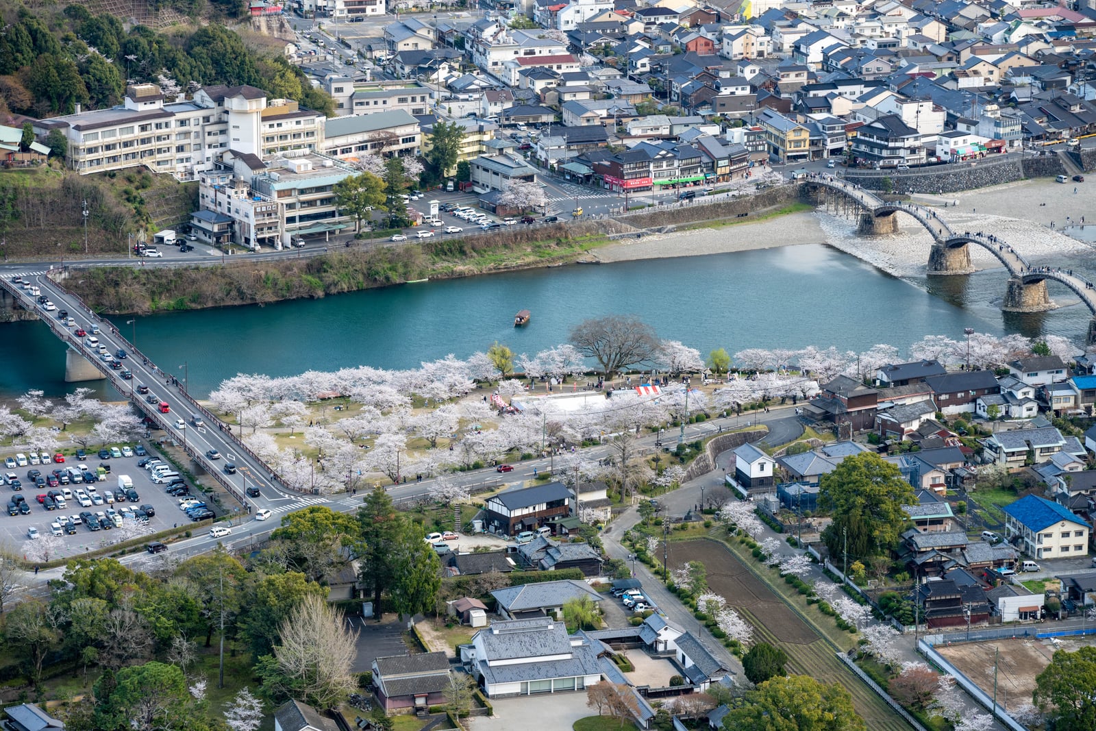 自岩國城遠眺錦帶橋與粉白櫻花景致｜2025/04 西日本賞櫻