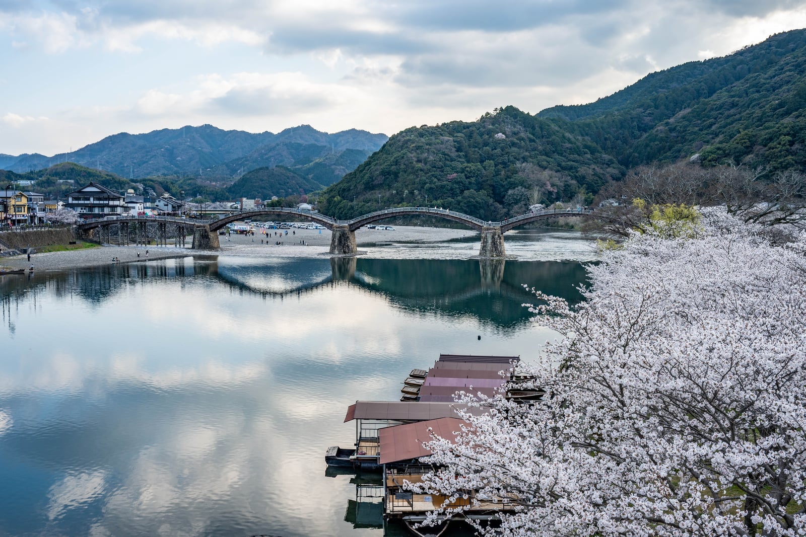 錦帶橋畔櫻花盛開與河面倒影｜2025/04 西日本賞櫻