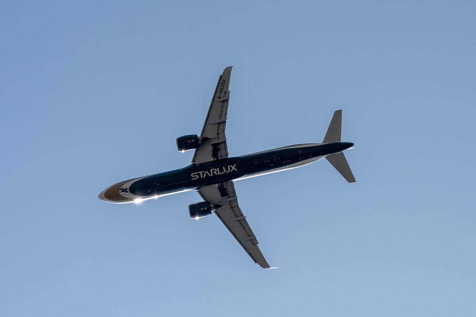 晴空下低空飛過的星宇航空客機｜2025/04 西日本賞櫻