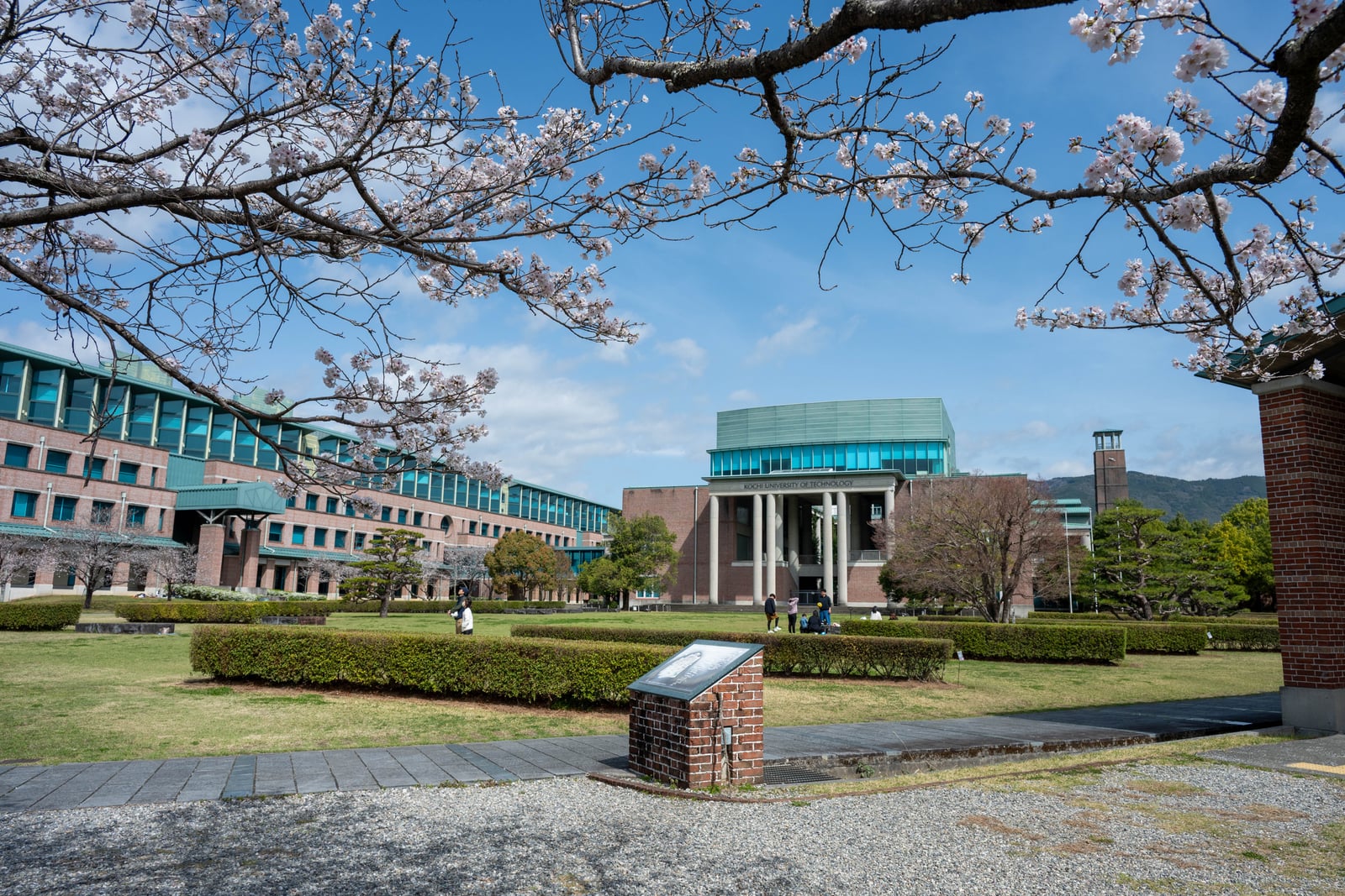 鏡野公園綠意草坪與櫻花枝垂｜2025/04 西日本賞櫻