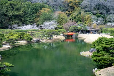 綠意庭園與朱紅小橋的春日倒影