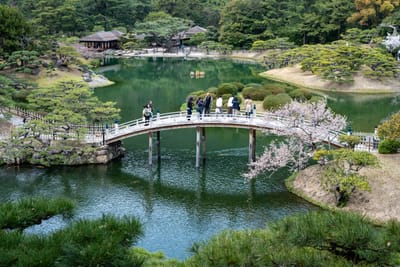 栗林公園內橫跨池水的小橋與櫻花景致