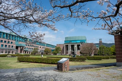 鏡野公園綠意草坪與櫻花枝垂