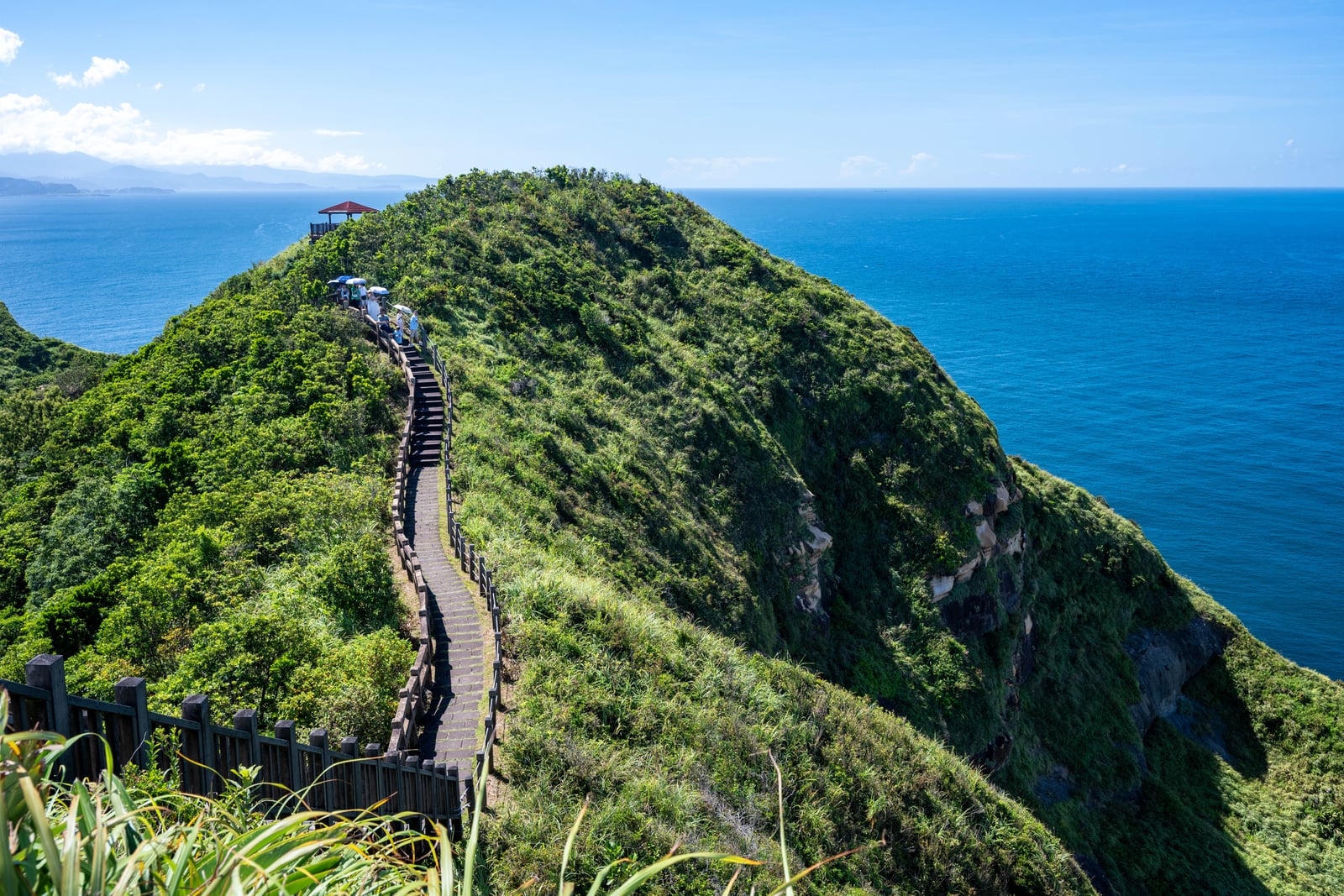 蜿蜒於翠綠山脊的臨海木棧道｜2025/08 鼻頭角/龍洞/南雅奇岩/水湳洞