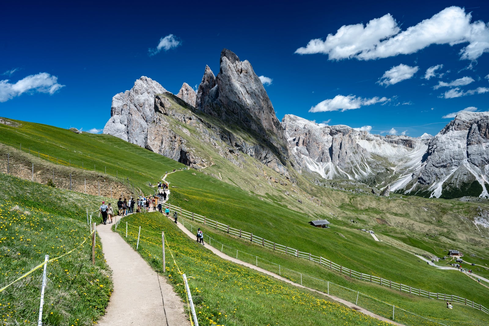Seceda 刀鋒稜線山徑與高山草地風光｜2026/06 阿爾卑斯山脈之多洛米堤