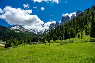 蒼翠山林下的木屋與奇岩峰景