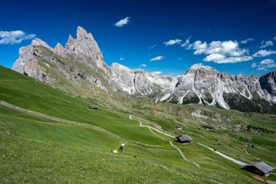 翠綠山坡與壯麗尖峭山峰的晴朗風光