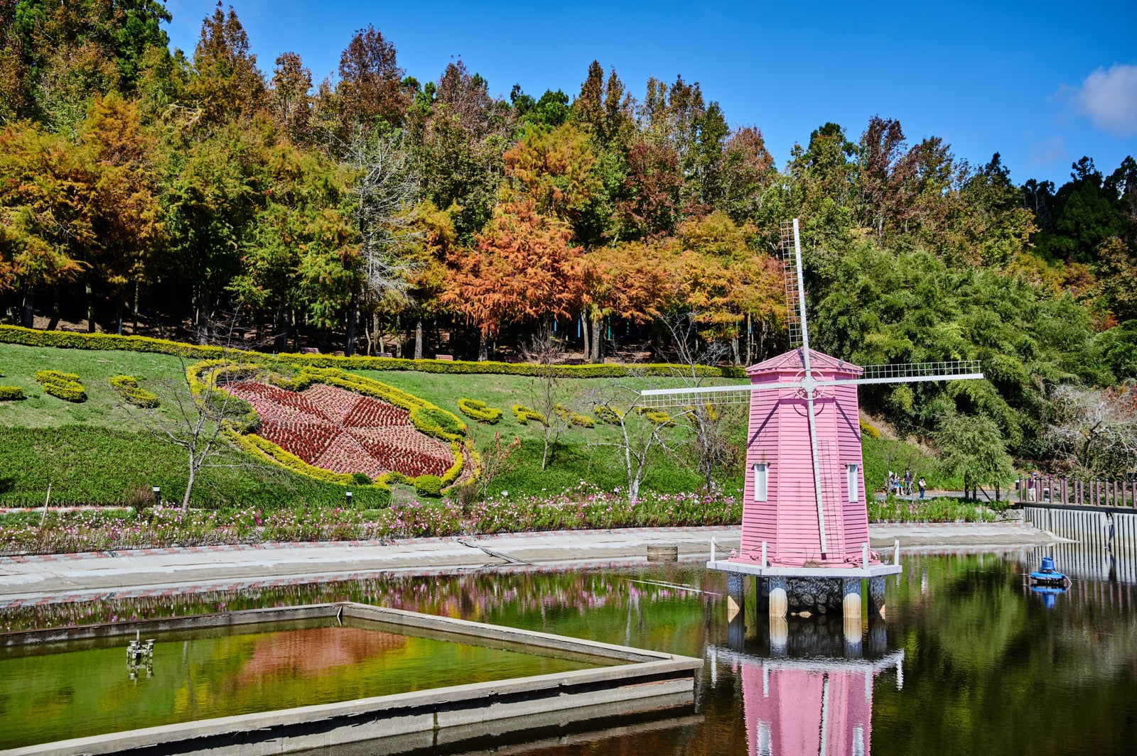 清境農場小瑞士花園的粉紅風車與落羽松｜國內本島（北/中/東部）