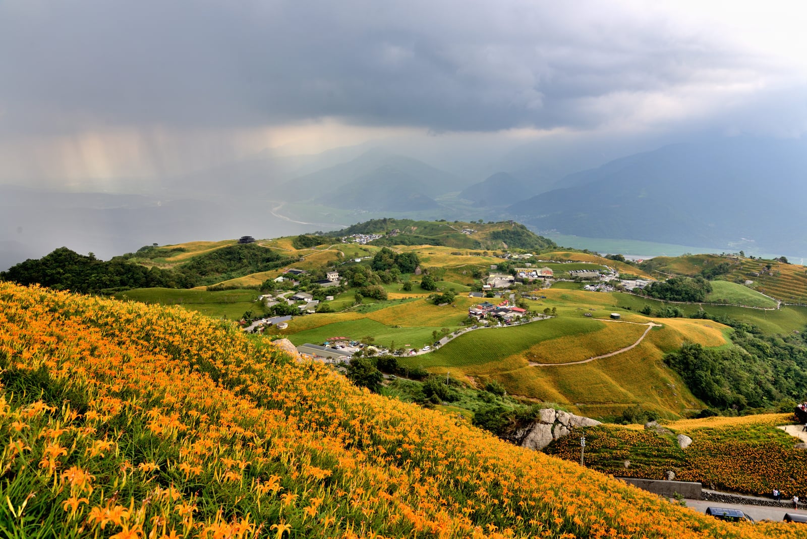 六十石山金針花海與雲隙光｜國內本島（北/中/東部）