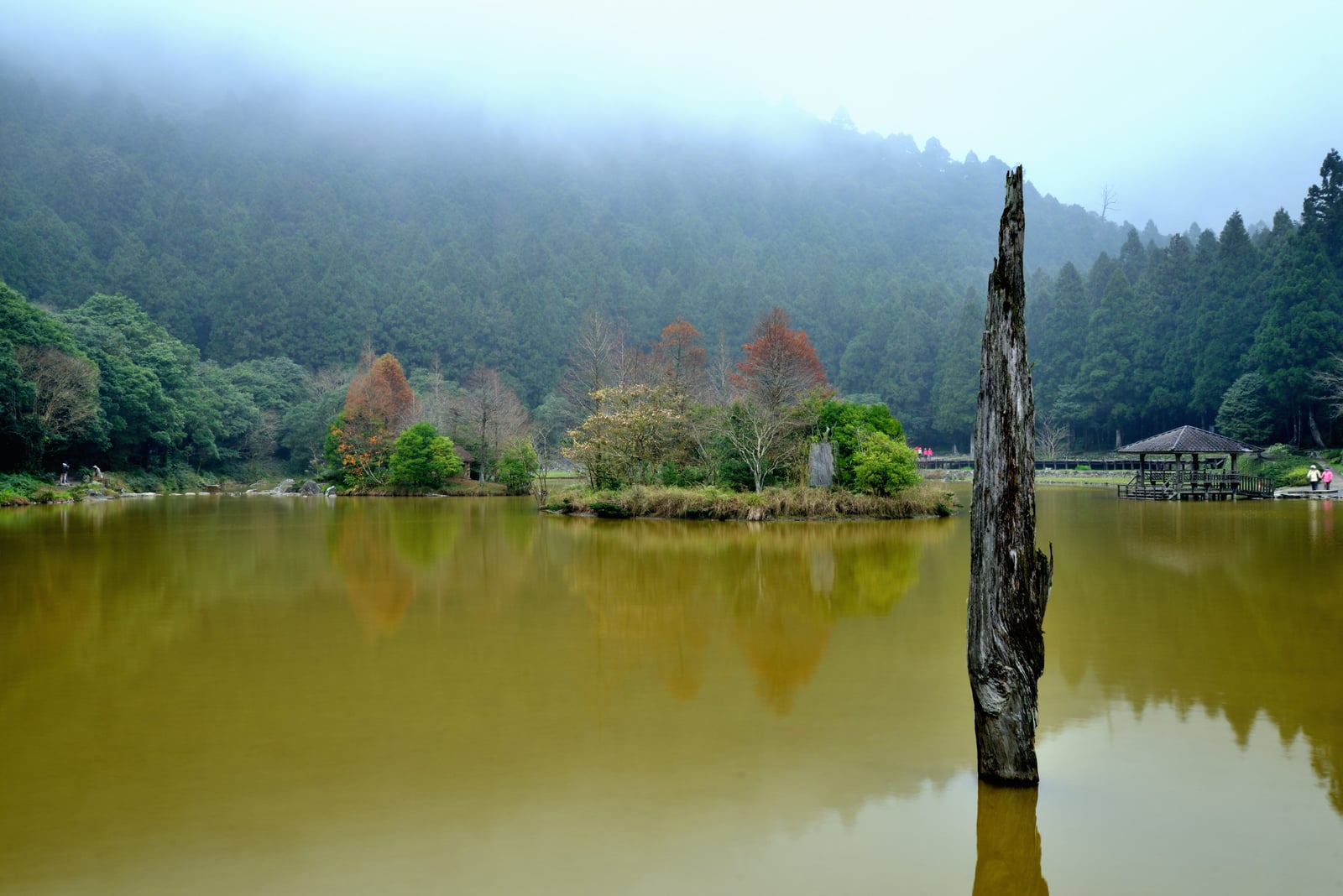 明池湖畔枯木與山林倒影｜國內本島（北/中/東部）