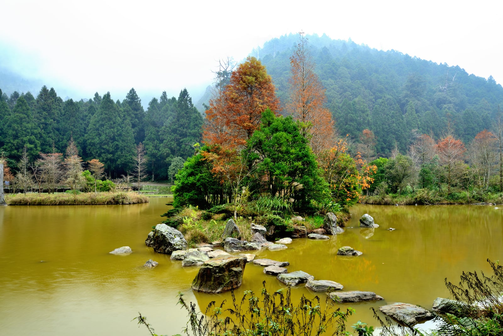 明池山林水漾與落羽松秋景｜國內本島（北/中/東部）
