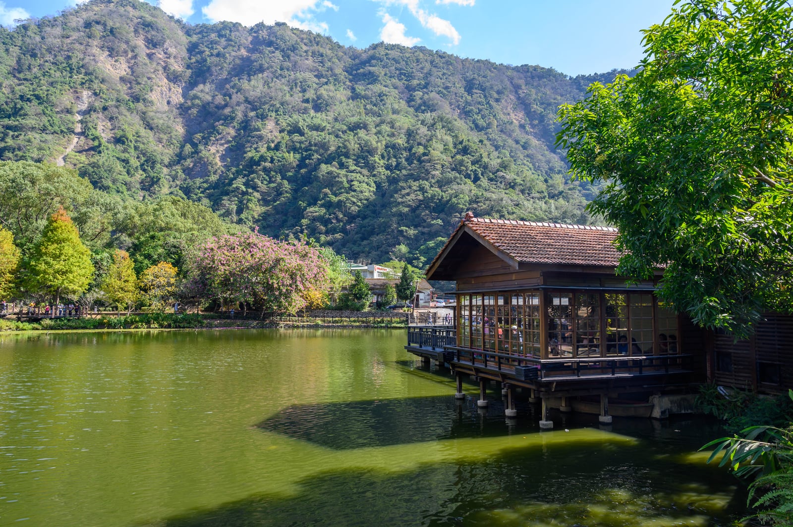 水里鄉貯木池畔的日式木造建築與綠意山水｜國內本島（北/中/東部）