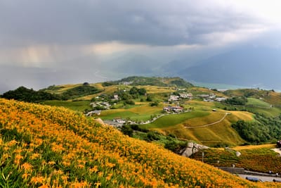 六十石山金針花海與雲隙光