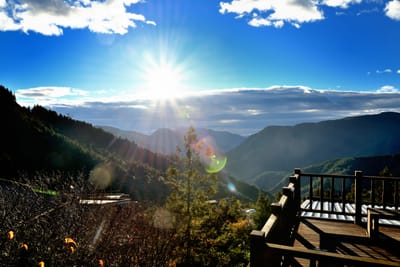 晨光灑落太平山莊觀景木棧道