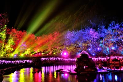 九族文化村夜間繽紛燈光與樹林倒影