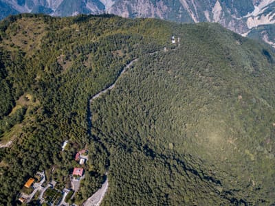 高空俯瞰桃源區山林與蜿蜒公路景致