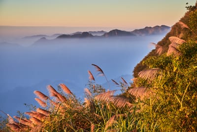 二延平步道夕陽芒草與雲海山景